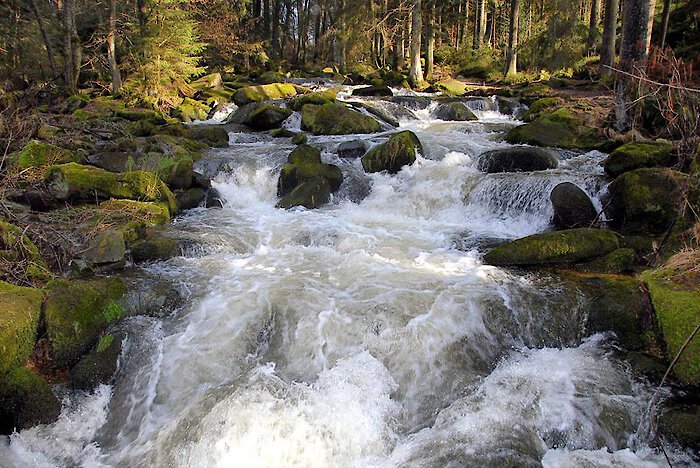 Wandern in der Saußbachklamm bei Waldkirchen, Bayerischer Wald